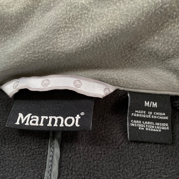 Marmot shell - Picture 2 of 7